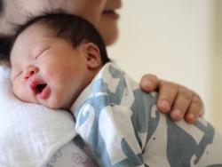 关于国内那里有借卵代孕